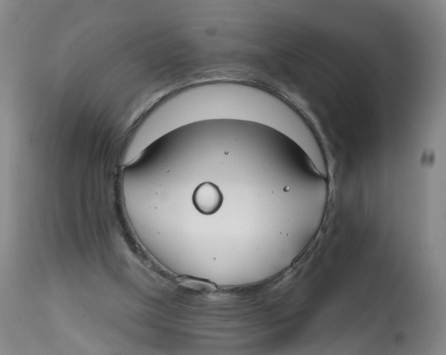 X0000112540154200909141320