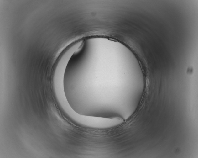 X0000112540156200909141320