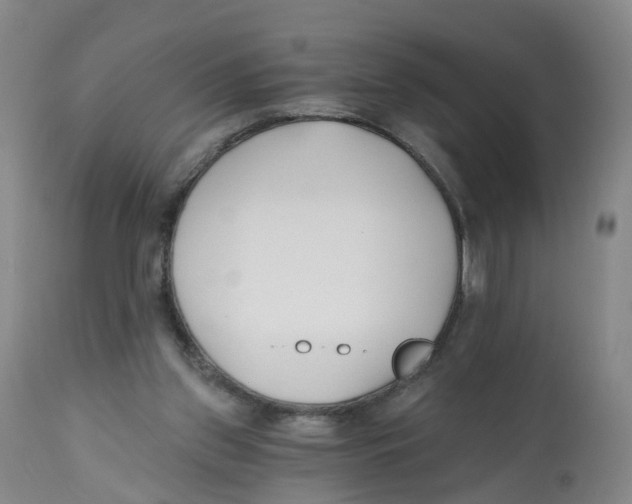 X0000112540157200909141320