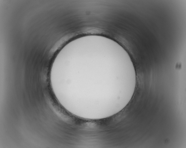 X0000112540159200909141320