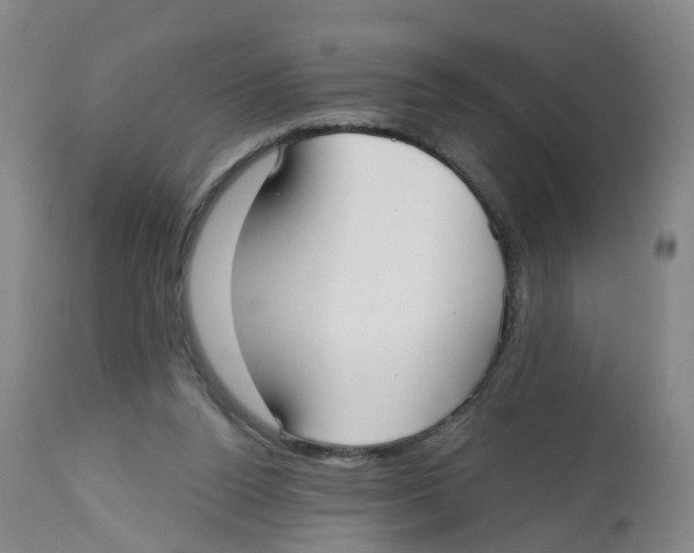 X0000112540160200909141320