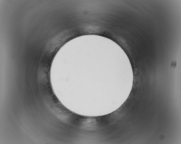 X0000112540162200909141320