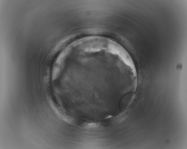 X0000112540163200909141320