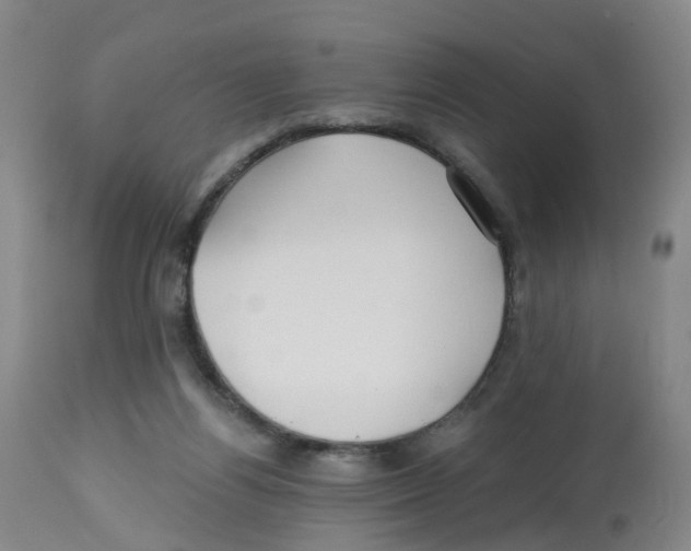 X0000112540164200909141320