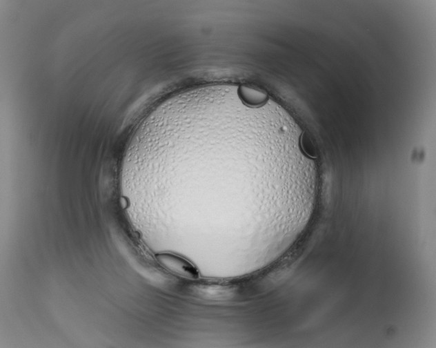 X0000112540165200909141320