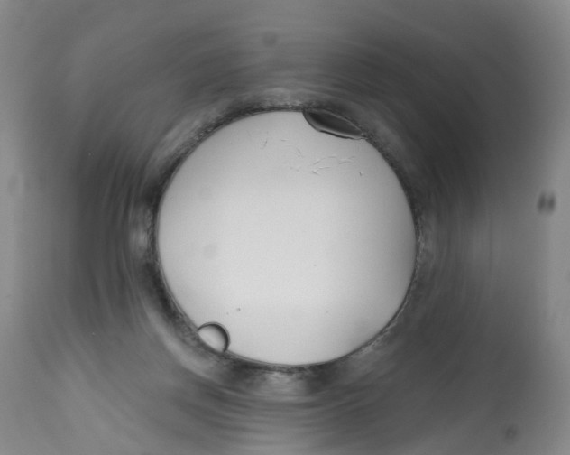 X0000112540166200909141320