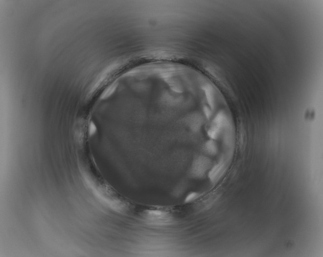 X0000112540167200909141320