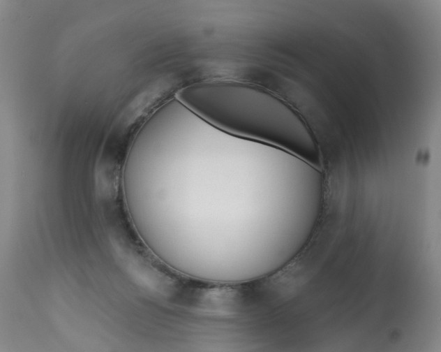 X0000112540168200909141320