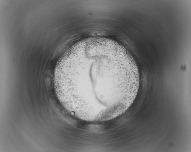 X0000112540169200909141321