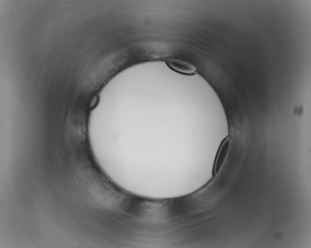 X0000112540170200909141321