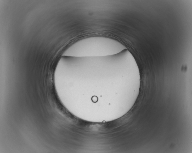 X0000112540172200909141321