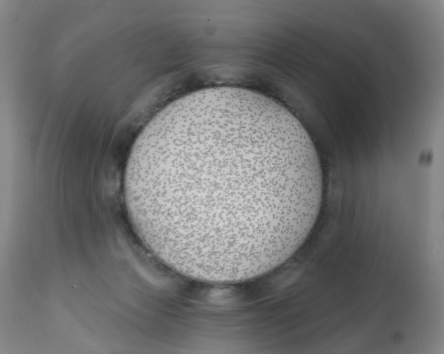 X0000112540173200909141321