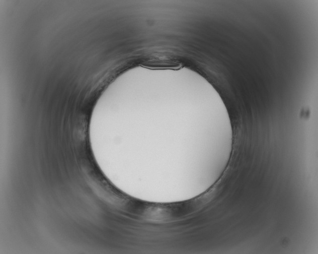 X0000112540174200909141321