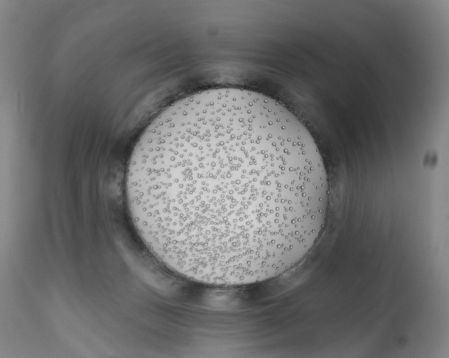 X0000112540175200909141321