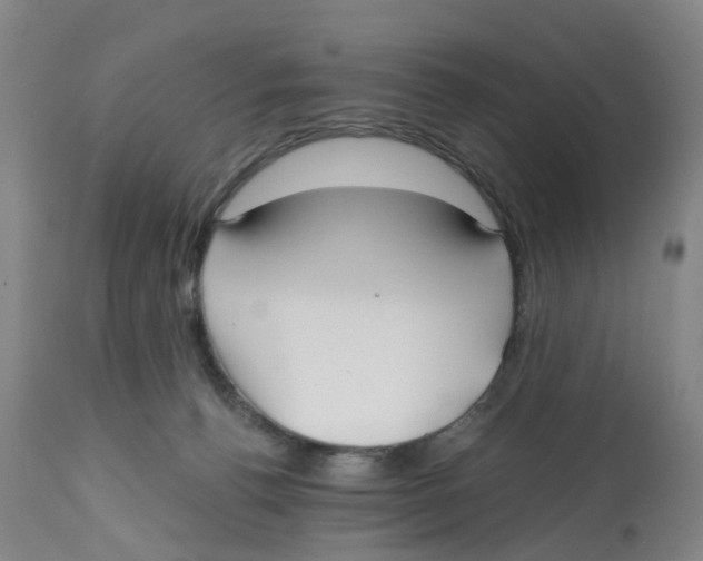 X0000112540176200909141321