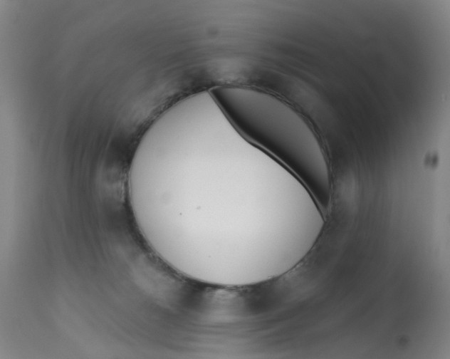 X0000112540180200909141321