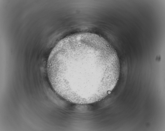 X0000112540181200909141321