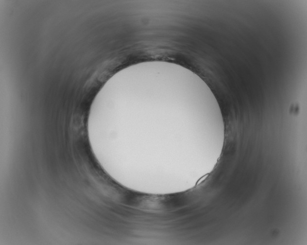 X0000112540182200909141321