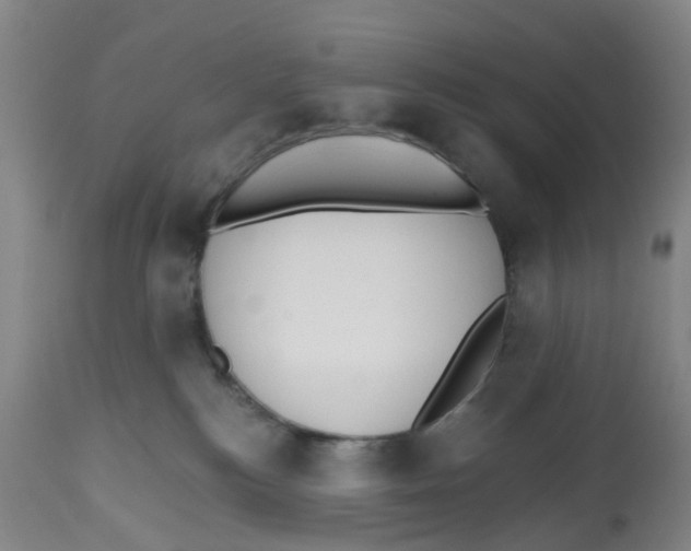 X0000112540184200909141321