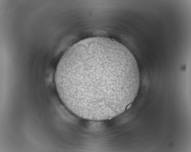 X0000112540185200909141321