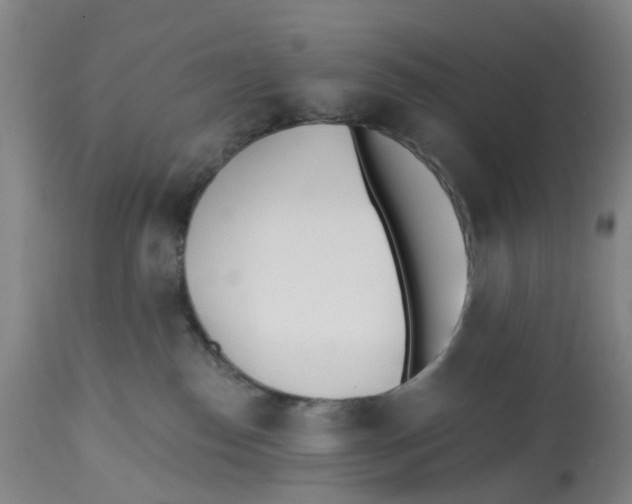 X0000112540186200909141321