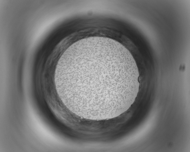 X0000112540191200909141321