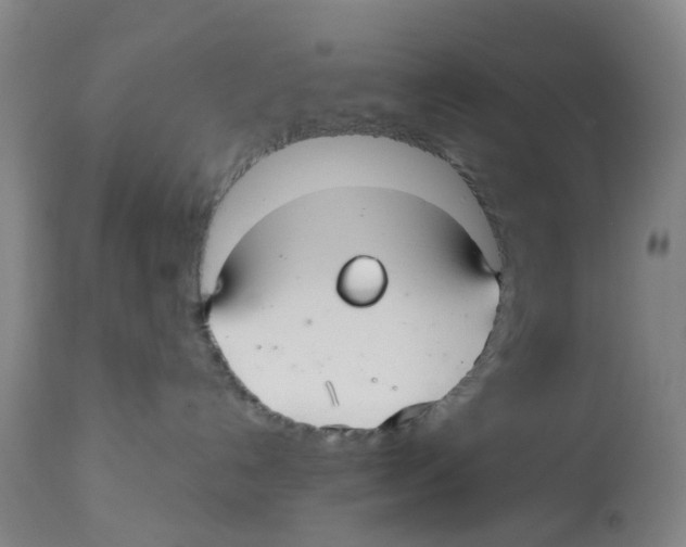 X0000112540192200909141321
