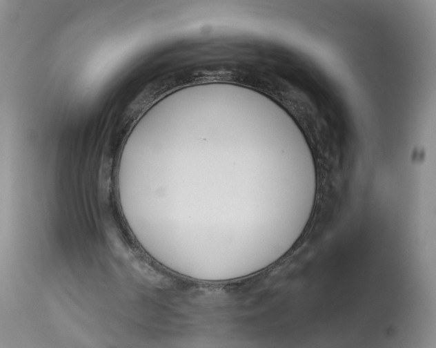 X0000112540194200909141320