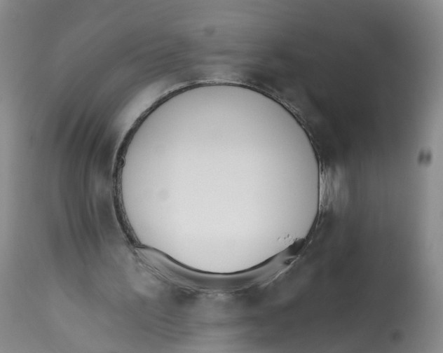 X0000112540195200909141320