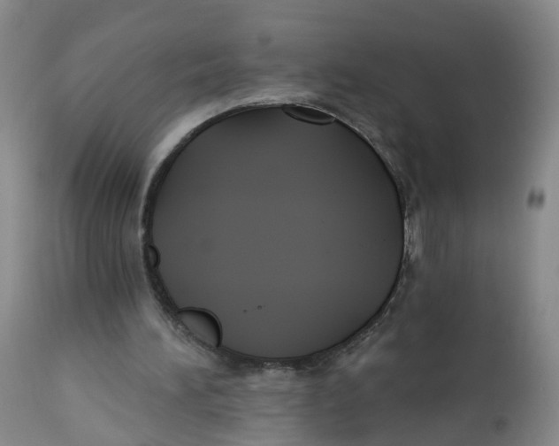 X0000112540196200909141320
