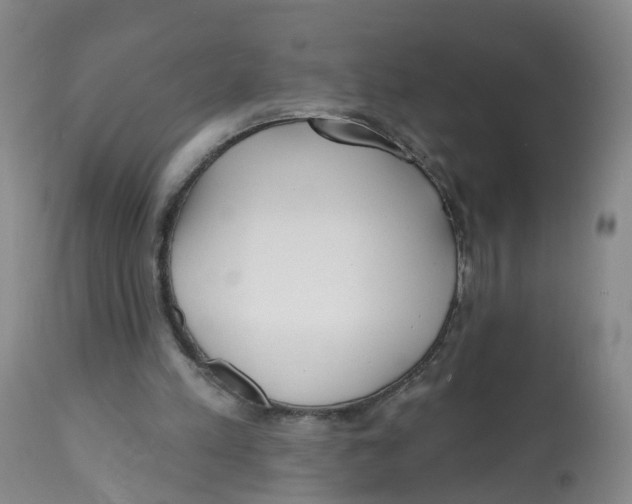 X0000112540197200909141320