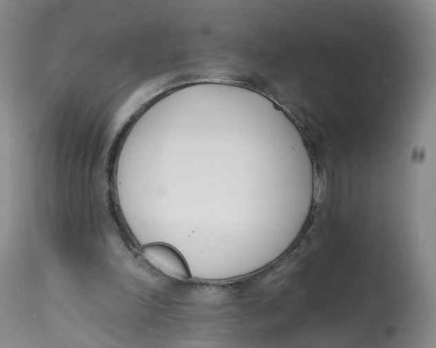 X0000112540198200909141320