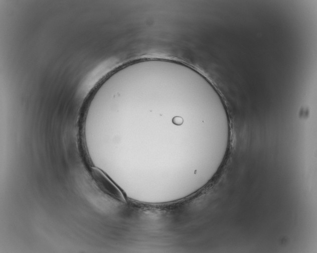 X0000112540199200909141320