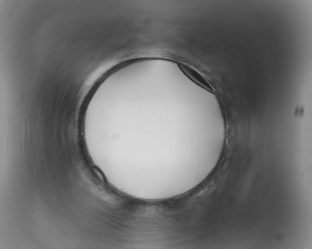 X0000112540200200909141320