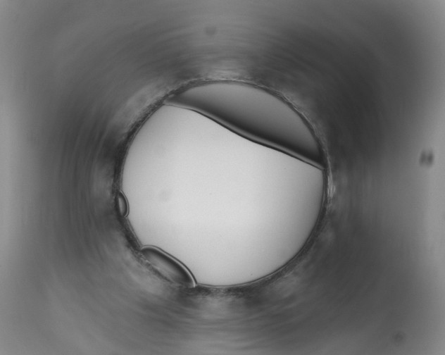X0000112540201200909141320