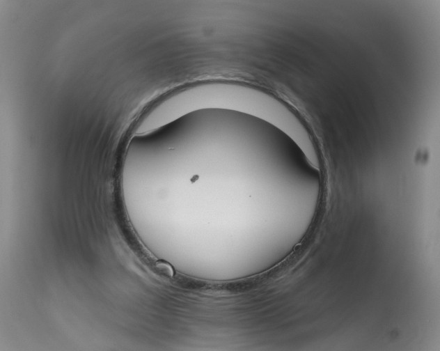 X0000112540203200909141320