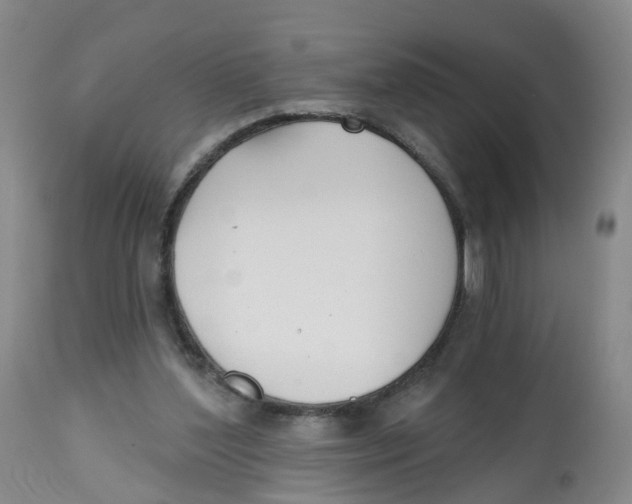 X0000112540204200909141320