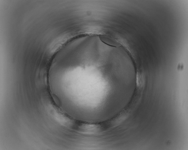 X0000112540205200909141320