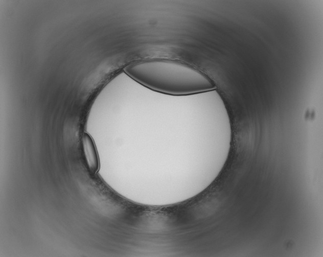X0000112540207200909141320