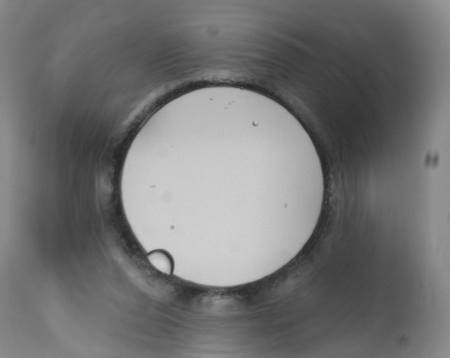 X0000112540208200909141320
