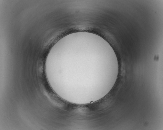 X0000112540210200909141320