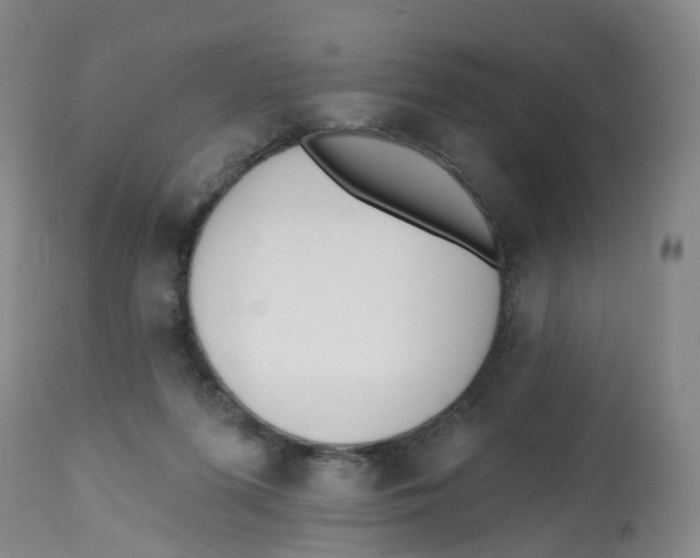 X0000112540215200909141320