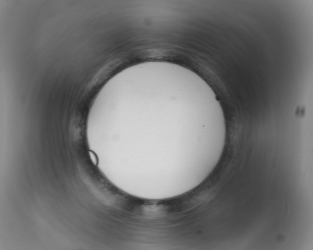X0000112540216200909141320