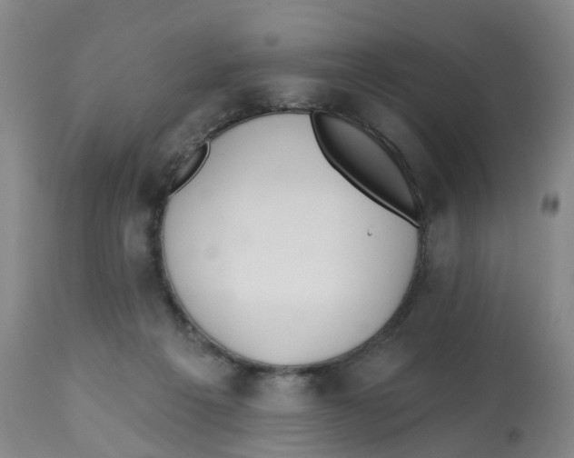 X0000112540217200909141320