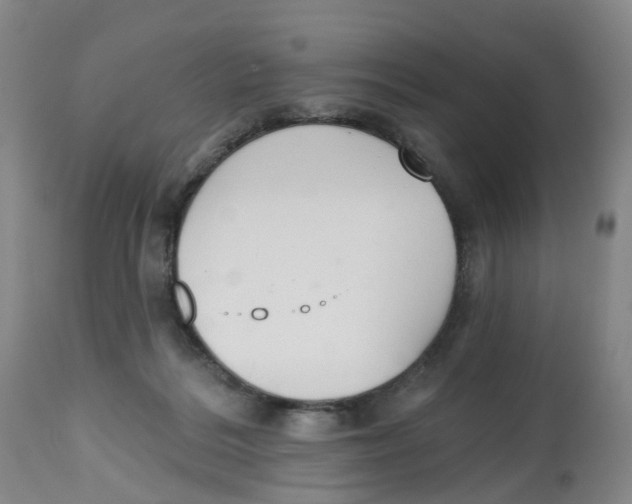 X0000112540220200909141320