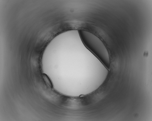 X0000112540221200909141320