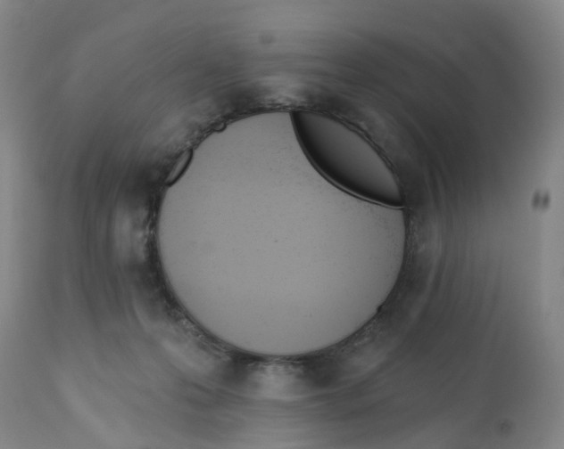 X0000112540223200909141320