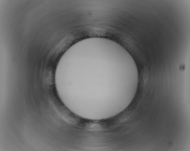 X0000112540224200909141320
