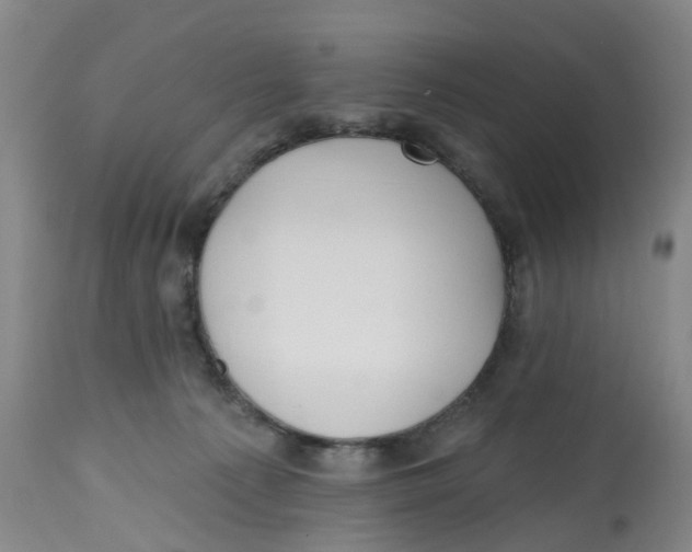 X0000112540225200909141320