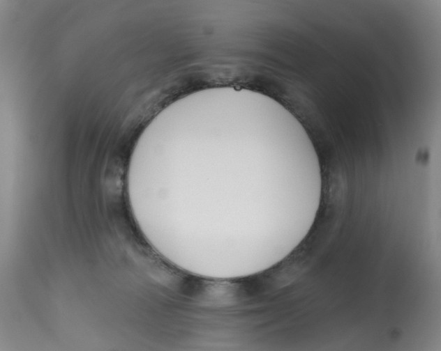 X0000112540226200909141320